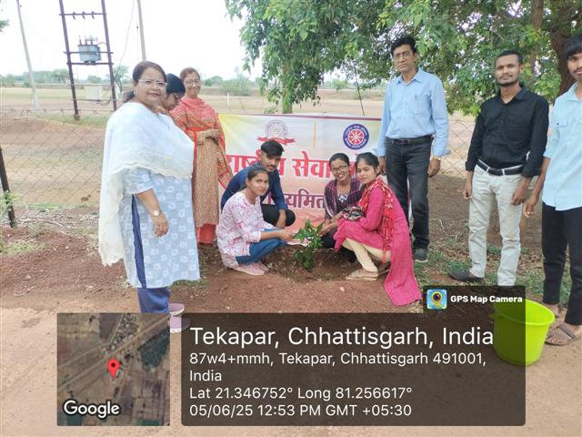 Tree Plantation Program